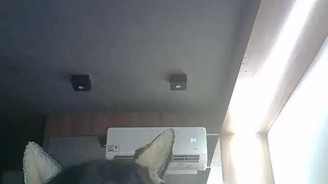 Skinny-Kitten online show from 1, 4, 2026