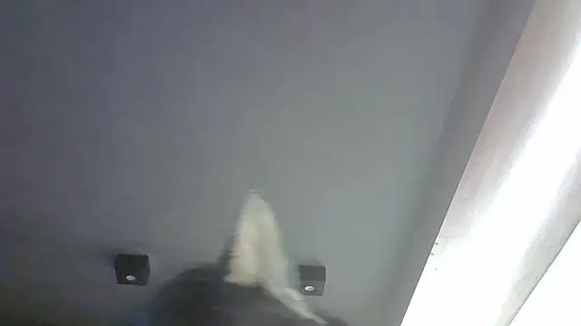 Skinny-Kitten online show from 10, 4, 2026