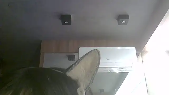 Snapshot of Skinny-Kitten chatting on 11, 7, 2026 Skinny-Kitten online show from 11, 7, 2026