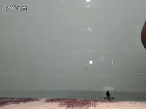 Stormward online show from 24, 2, 2025