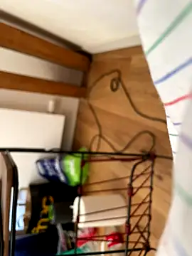 la chiennete online show from 27, 9, 2025