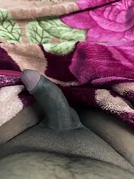 Snapshot of Honeydick7 chatting on 4, 11, 2025 Honeydick7 online show from 4, 11, 2025