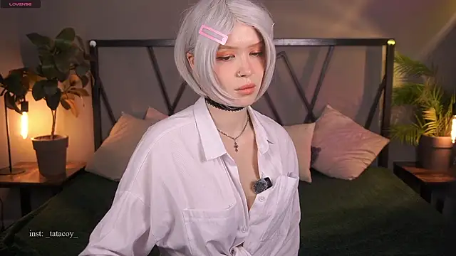 TataCoy online show from 10, 3, 2026