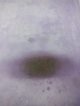 Snapshot of Kannadaboymanu chatting on 18, 3, 2025 Kannadaboymanu online show from 18, 3, 2025