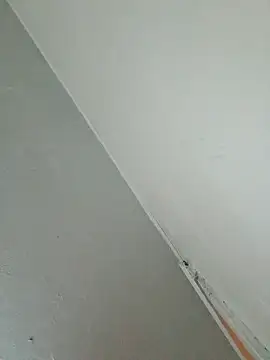 Snapshot of Stomps33 chatting on 5, 2, 2026 Stomps33 online show from 5, 2, 2026