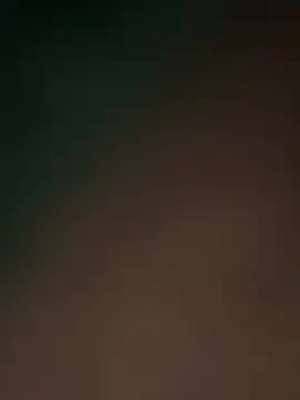 Snapshot of Terrafirma chatting on 16, 2, 2025 Terrafirma online show from 16, 2, 2025