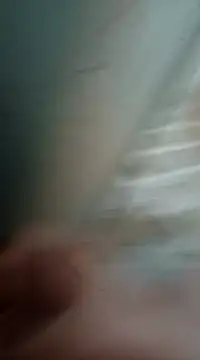 Sexis26 online show from 15, 3, 2025