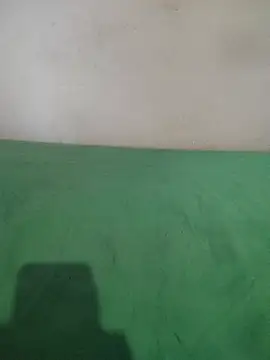 Snapshot of _Scorpion_ chatting on 11, 2, 2025 Scorpion online show from 11, 2, 2025