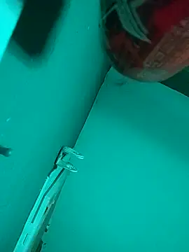 Snapshot of _Scorpion_ chatting on 8, 9, 2025 Scorpion online show from 8, 9, 2025