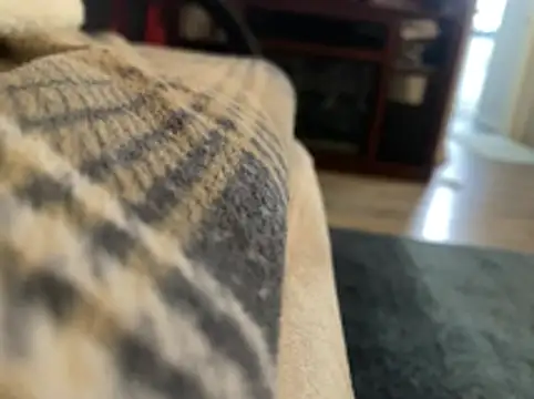 ft2022W online show from 9, 4, 2026