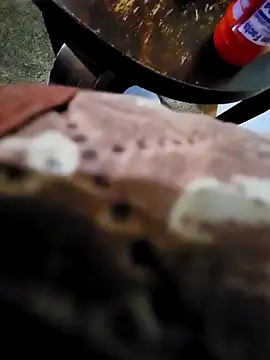 Snapshot of pajarol5co chatting on 26, 1, 2025 pajarol5co online show from 26, 1, 2025