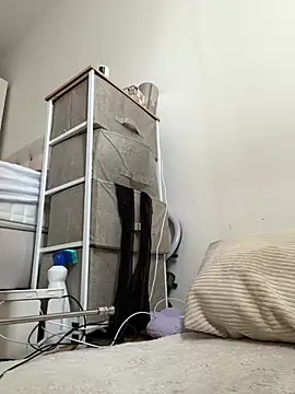 Mona-Peaches online show from 11, 3, 2026