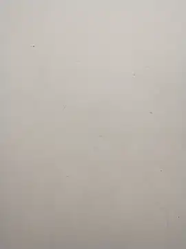 Shuttii 25 online show from 2, 12, 2024