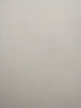 Shuttii 25 online show from 25, 12, 2024