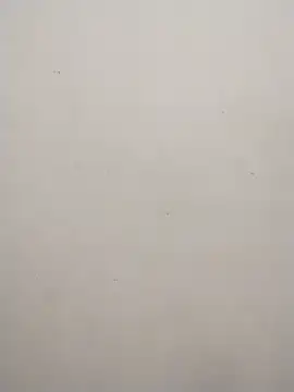 Shuttii 25 online show from 10, 2, 2025