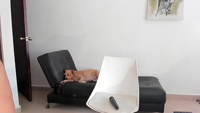 Snapshot of selene_king2 chatting on 10, 12, 2024 selene king2 online show from 10, 12, 2024