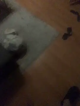 Snapshot of chrille82 chatting on 21, 11, 2025 chrille82 online show from 21, 11, 2025