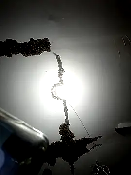 Snapshot of ColdVisitor chatting on 6, 2, 2026 ColdVisitor online show from 6, 2, 2026