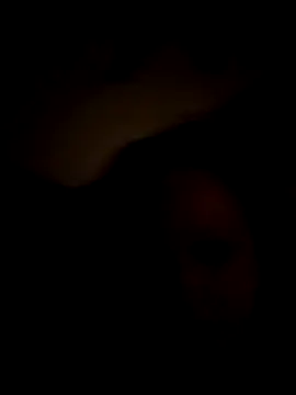 Cumslutsnowbunnie69 online show from 22, 12, 2025