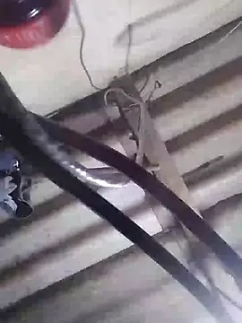 Snapshot of davidatration15 chatting on 5, 3, 2025 davidatration15 online show from 5, 3, 2025