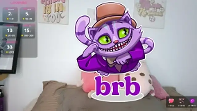 northly online show from 17, 3, 2026