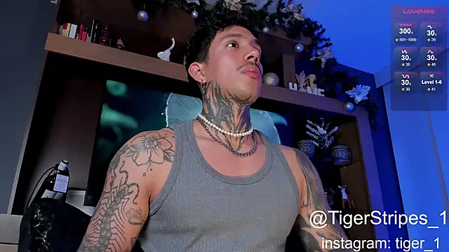 Snapshot of TigerStripes1_ chatting on 4, 1, 2025 TigerStripes1 online show from 4, 1, 2025