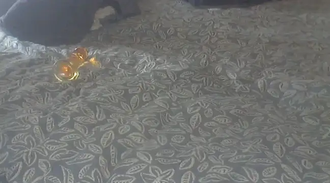 Snapshot of michaelknight101 chatting on 15, 12, 2024 michaelknight101 online show from 15, 12, 2024