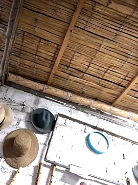 Snapshot of kvr27 chatting on 3, 11, 2025 kvr27 online show from 3, 11, 2025