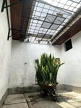 oliver price1 online show from 6, 10, 2025