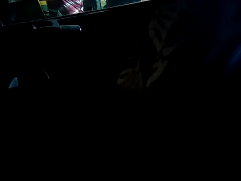 Kolkata   Boy online show from 16, 9, 2025